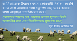 আমি কোরবানী নির্ধারণ করেছি।