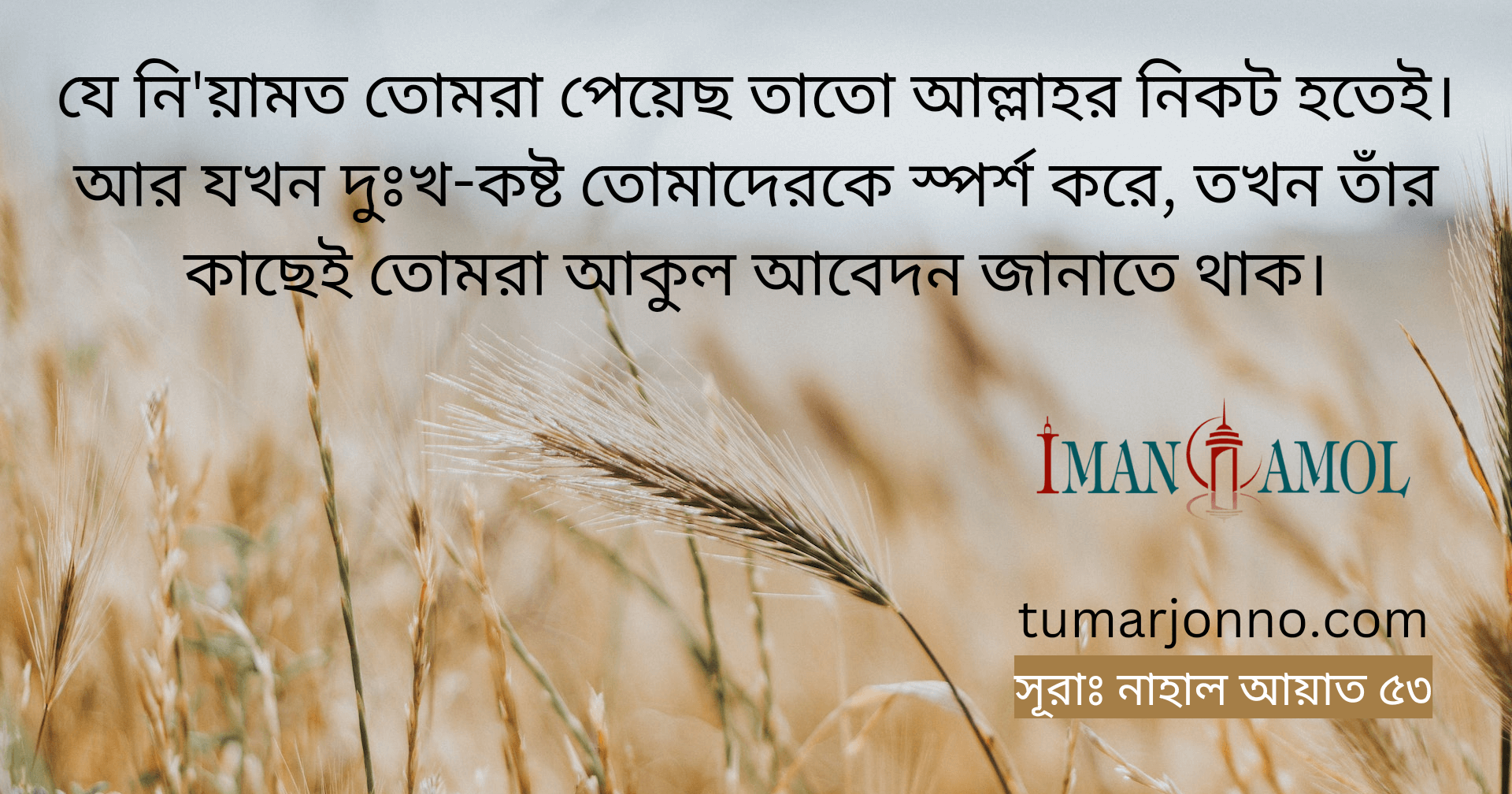 তাঁরই নিকট কান্নাকাটি কর।
