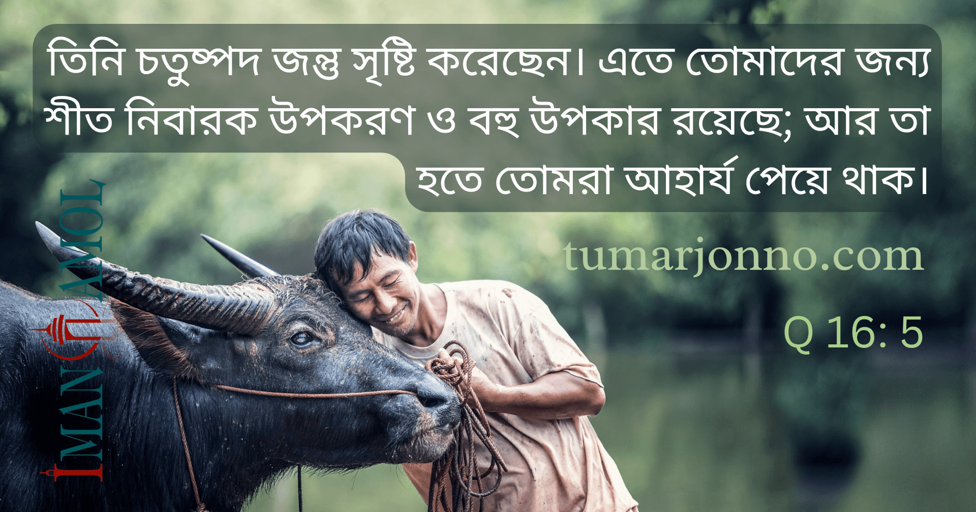 চতুষ্পদ জন্তুকে তিনি সৃষ্টি করেছেন।