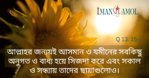 আল্লাহকে সেজদা করে।