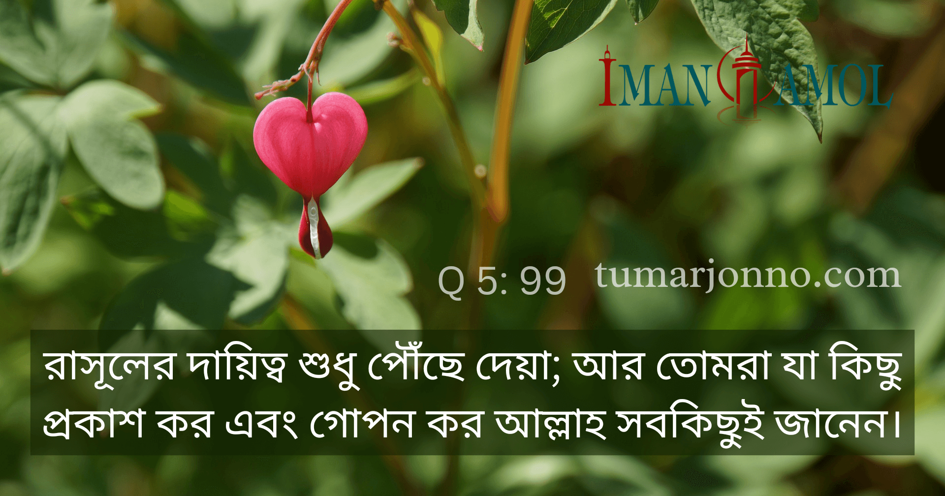 Surah Al-Ma'idah - 99