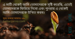 এ মাটি থেকেই তোমাদেরকে সৃজন করেছি।