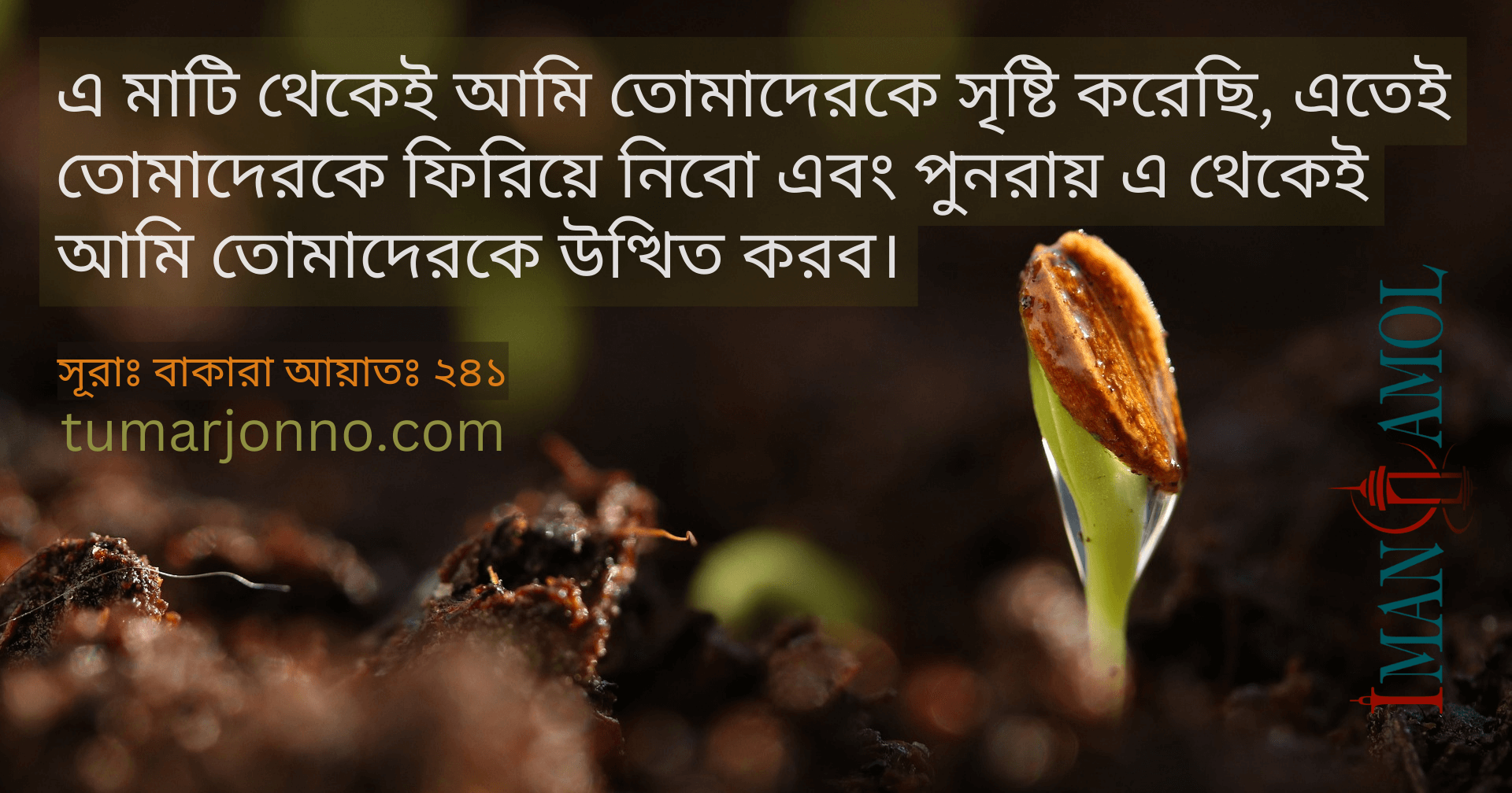 এ মাটি থেকেই তোমাদেরকে সৃজন করেছি।
