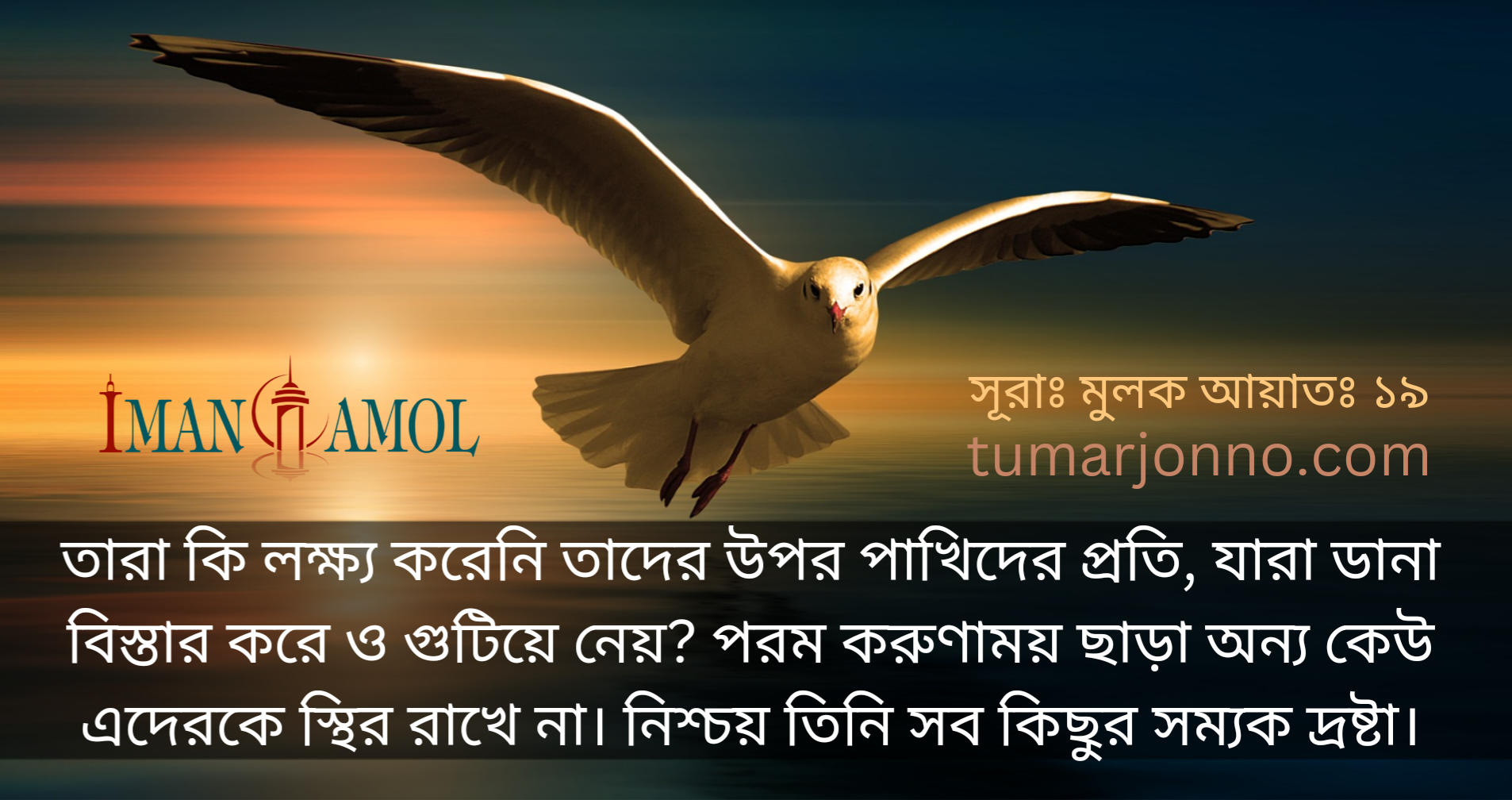 তাদের মাথার উপর উড়ন্ত পক্ষীকুল।