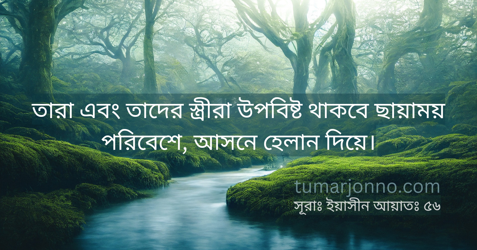 তারা থাকবে ছায়াময় পরিবেশে।